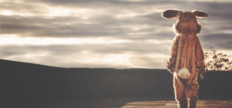 Amazon Osterangebote: Hue und Echo deutlich reduziert bunny