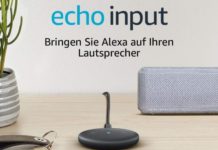 Echo Input – Lohnt sich der Kauf?